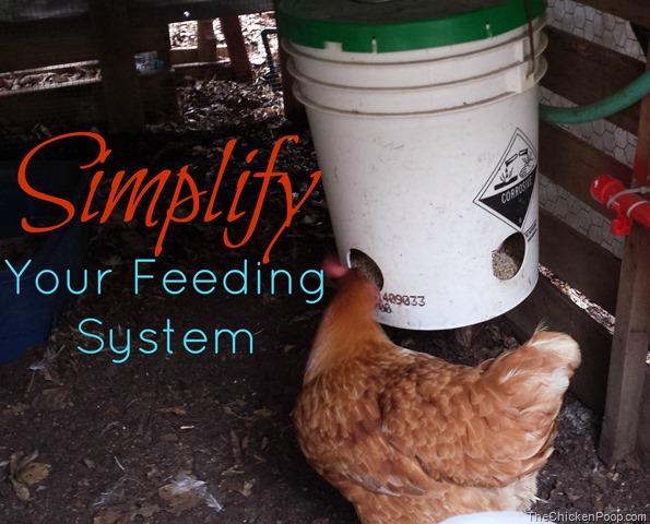 Simplify your feeding system