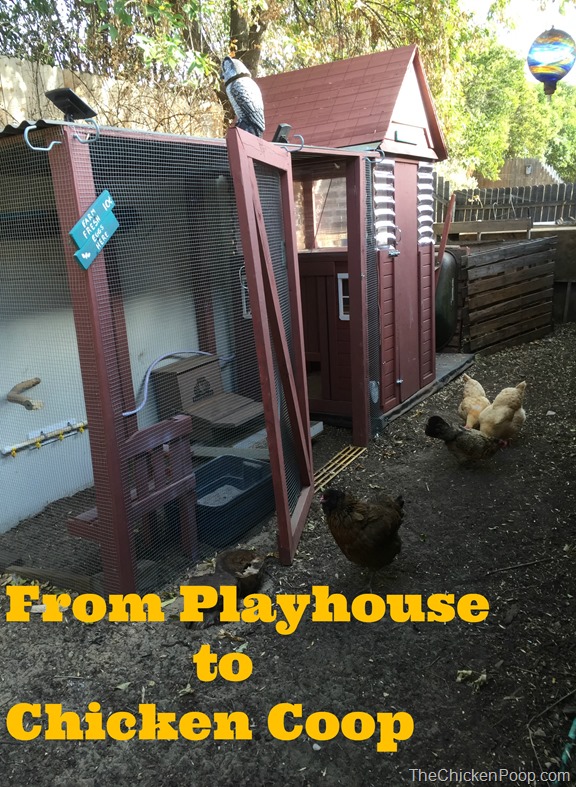 From Playhouse to Chicken Coop
