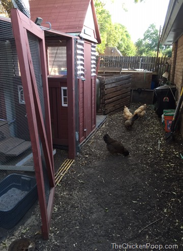 the after photo of the new coop