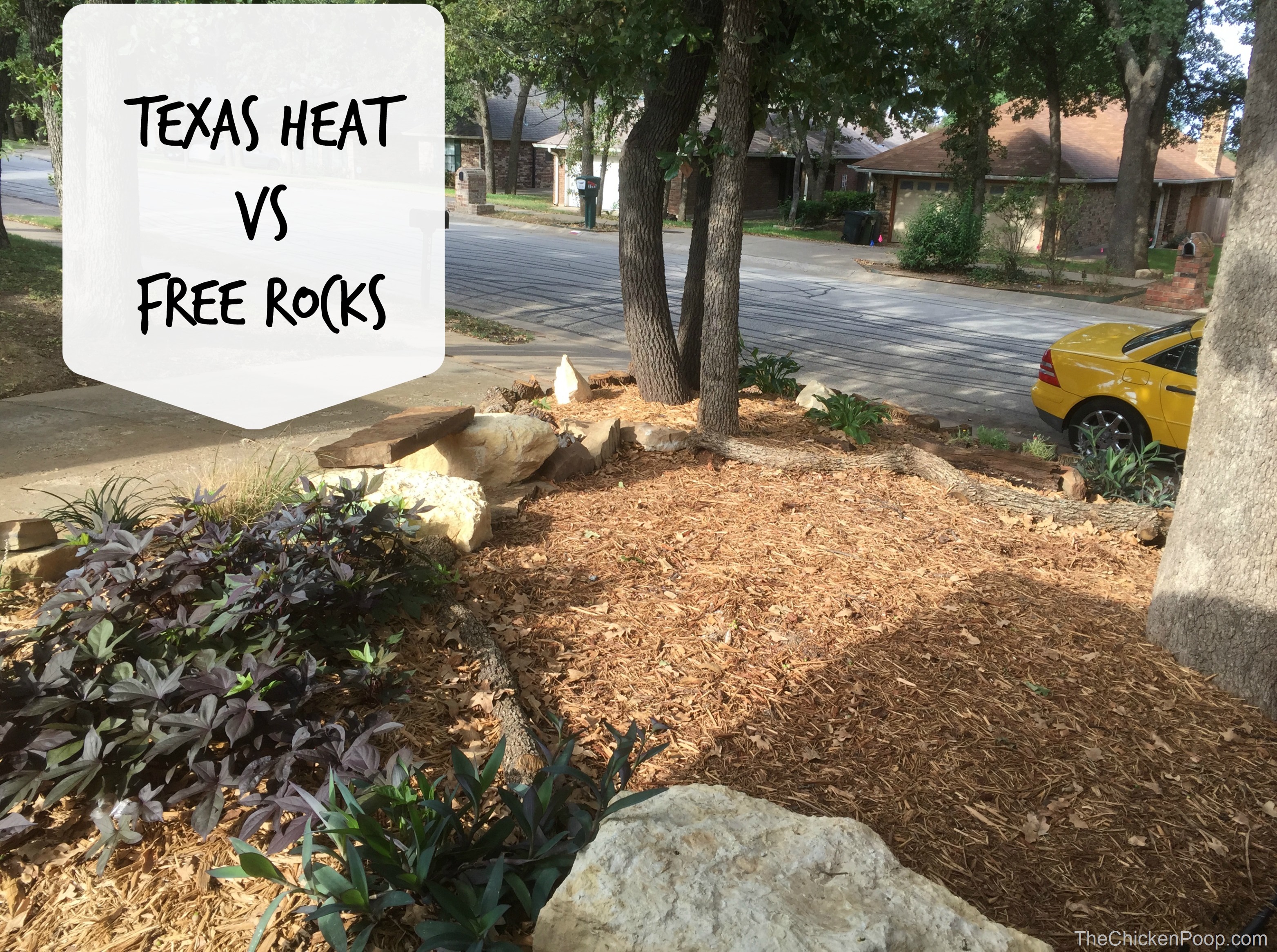 Texas Heat vs Free Rocks