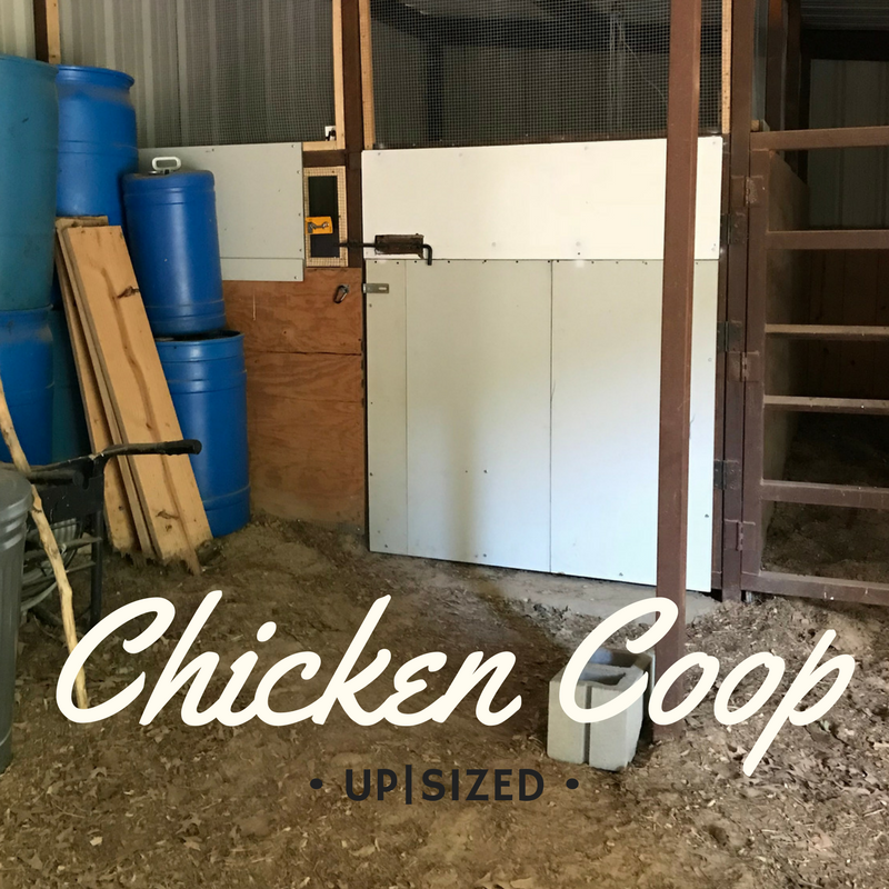 Chicken Coop Up-Sized and Predator Proofed